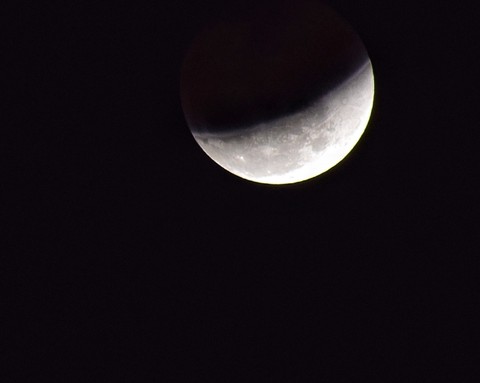 The moon