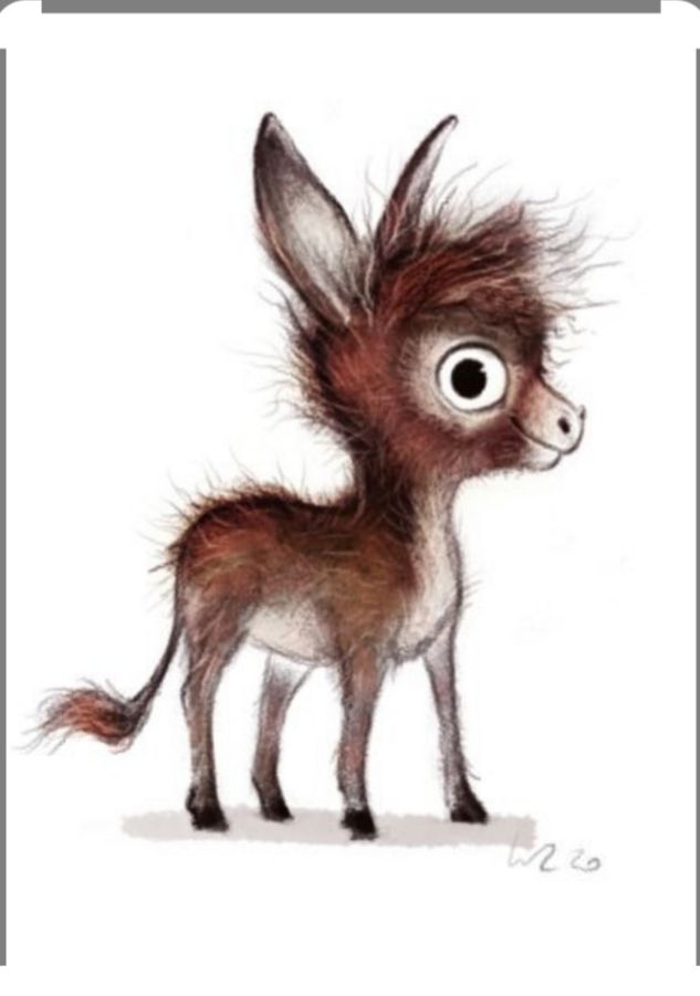 Donkey, sweet as it can be...