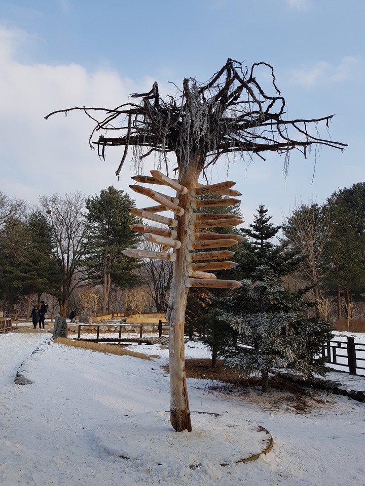 겨울 , winter