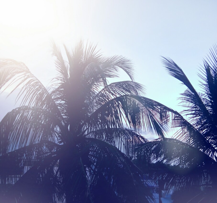 Morning Bliss