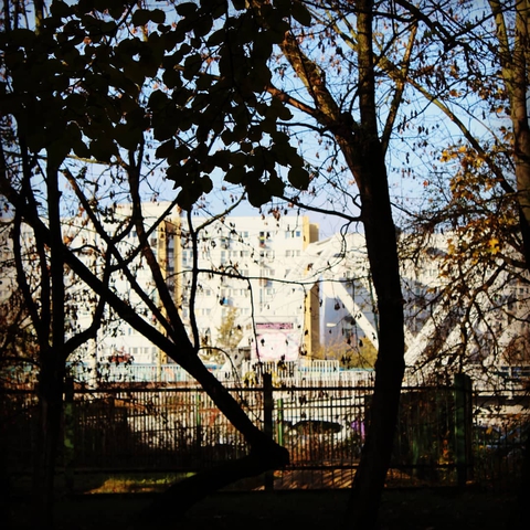 City
