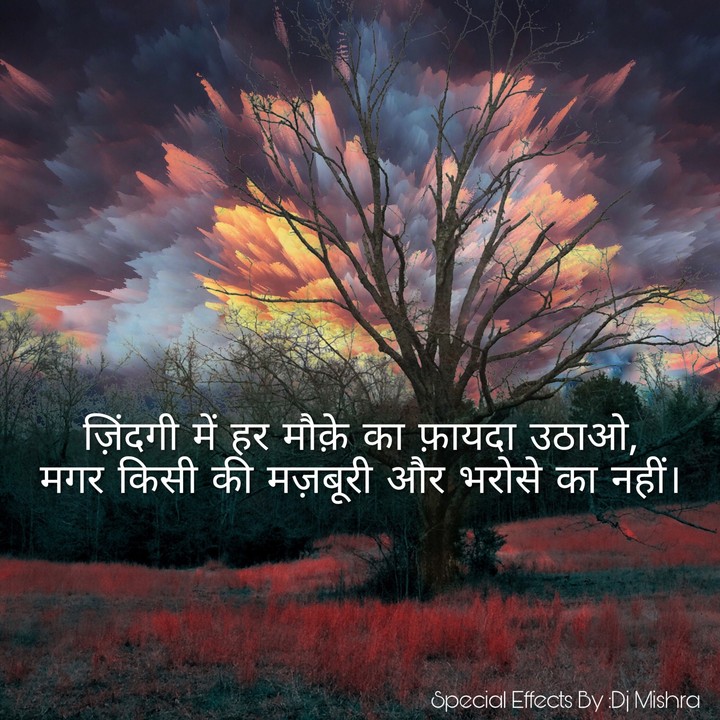 TRUE FACT