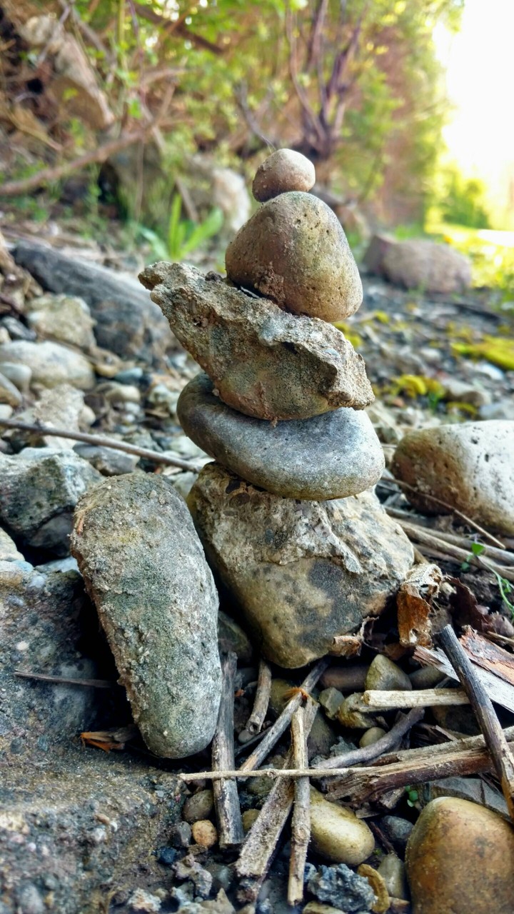 Nature Upclose