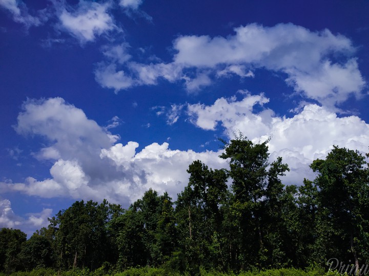 Nature