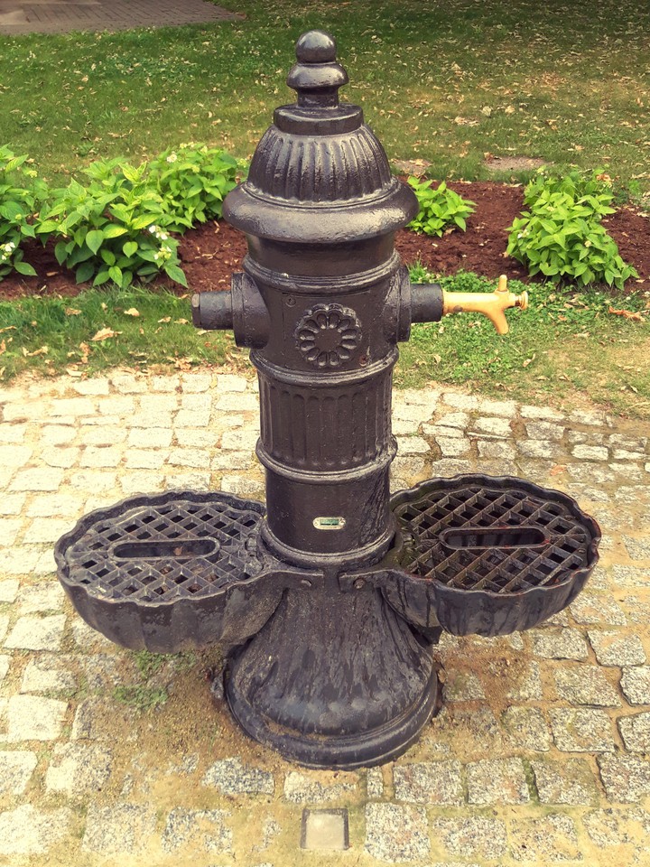 Water