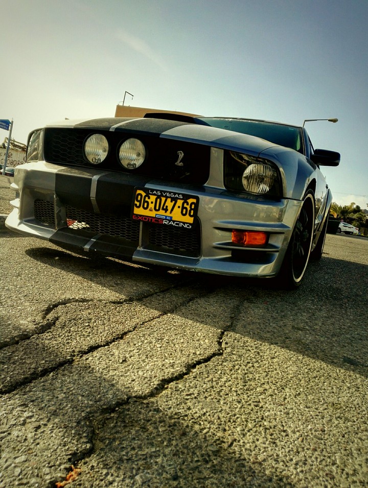 The American Muscle Babe..