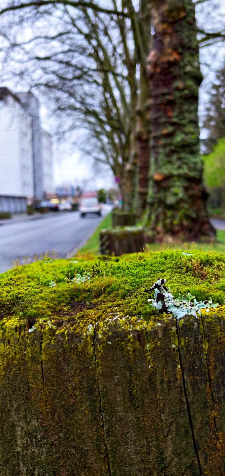 Greenway
