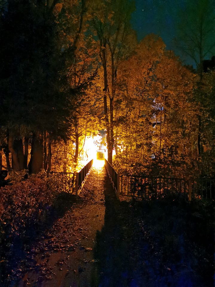 Mystic Night
