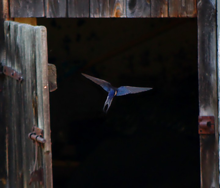 Come fly with me
