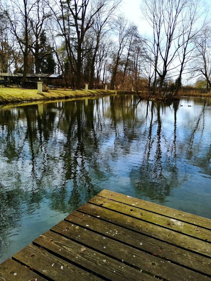 spring
