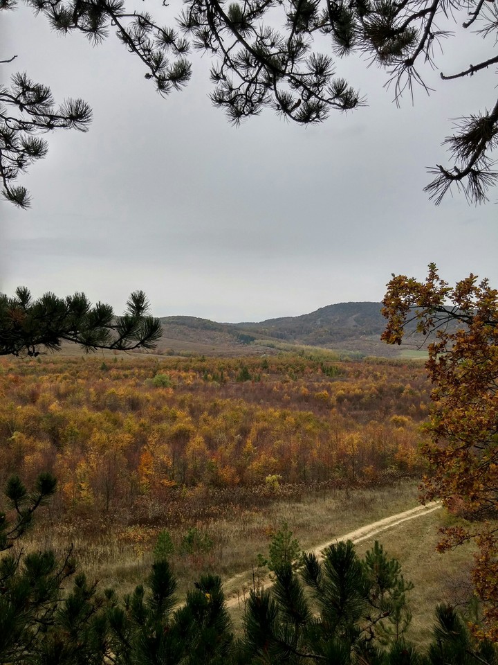 panoráma