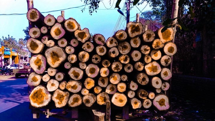 Wood logs
