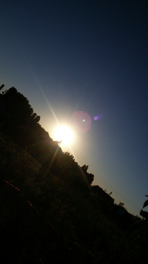 sunset