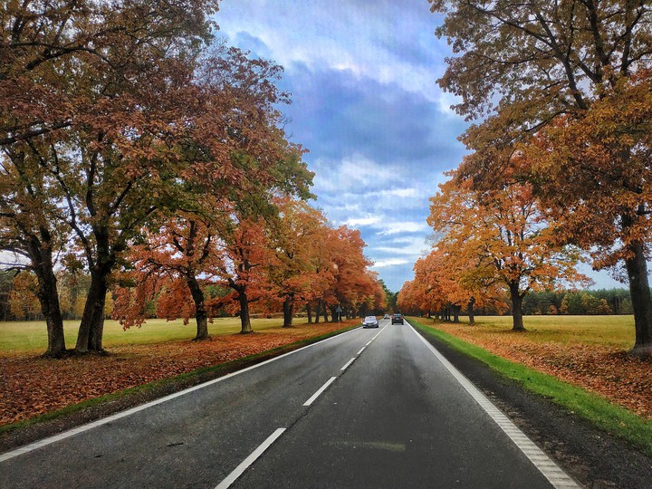 Autumn