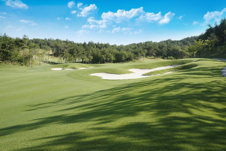 Golf Course