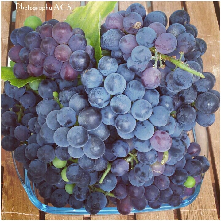 wine magic