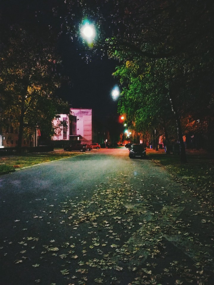 Night