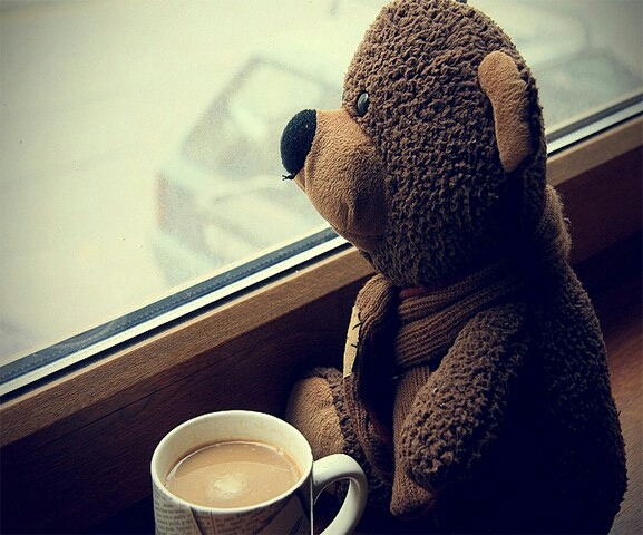 teddy bear