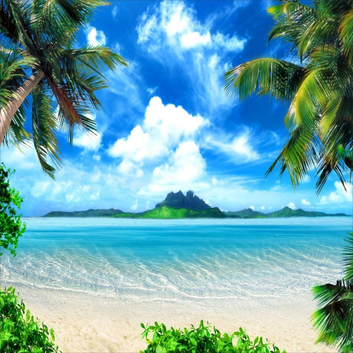 Beachy Paradise