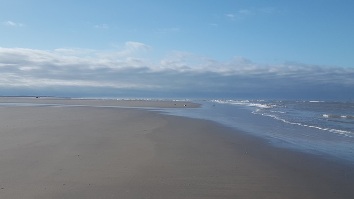 Alone at the seaside