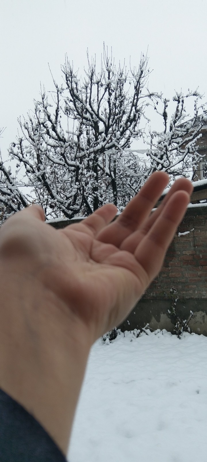 kashmir