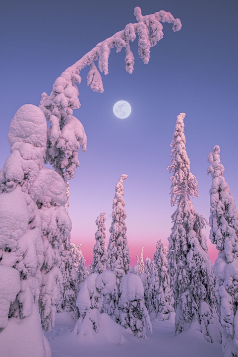 towards winter