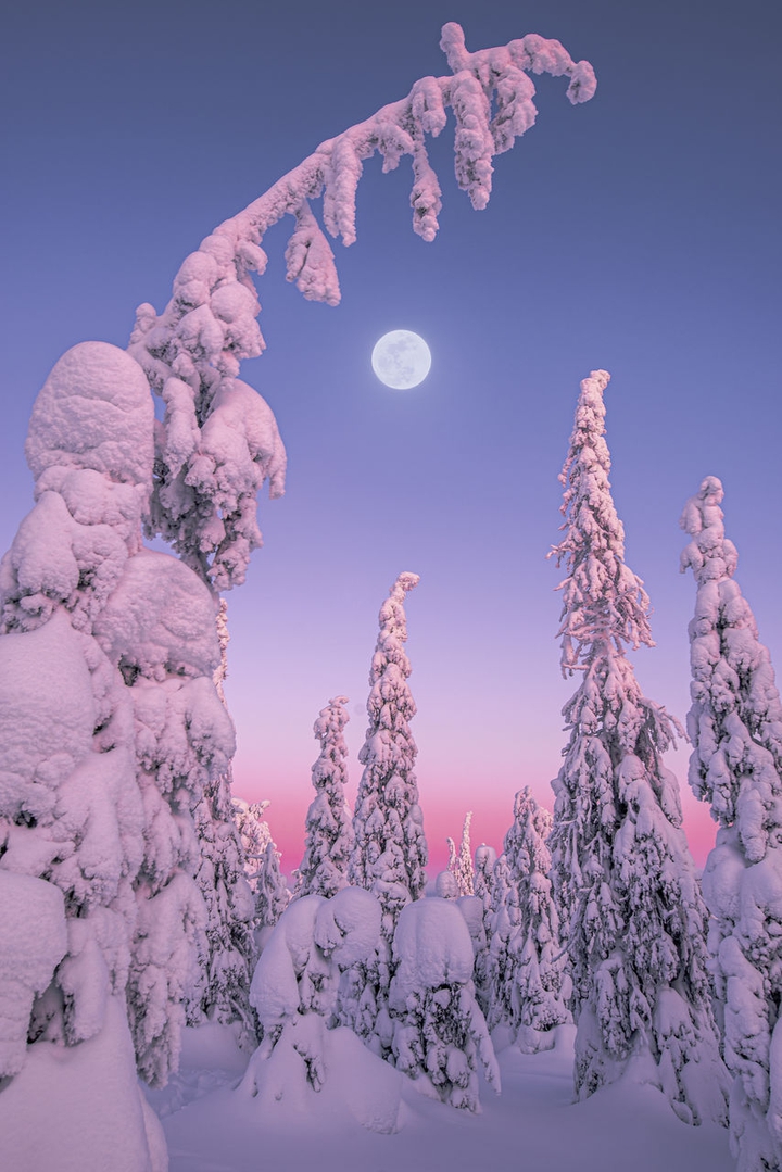 towards winter