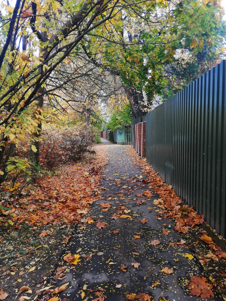 Automne vibes