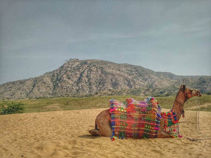 In Pushkar