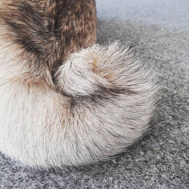 Spiral