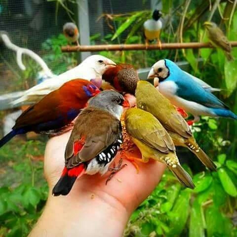 THIS IS MY ALL FRIEND'S