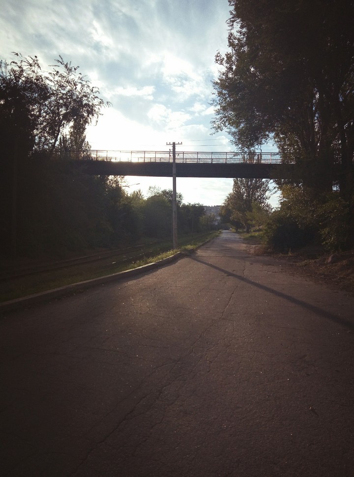 Дорога. Мост
