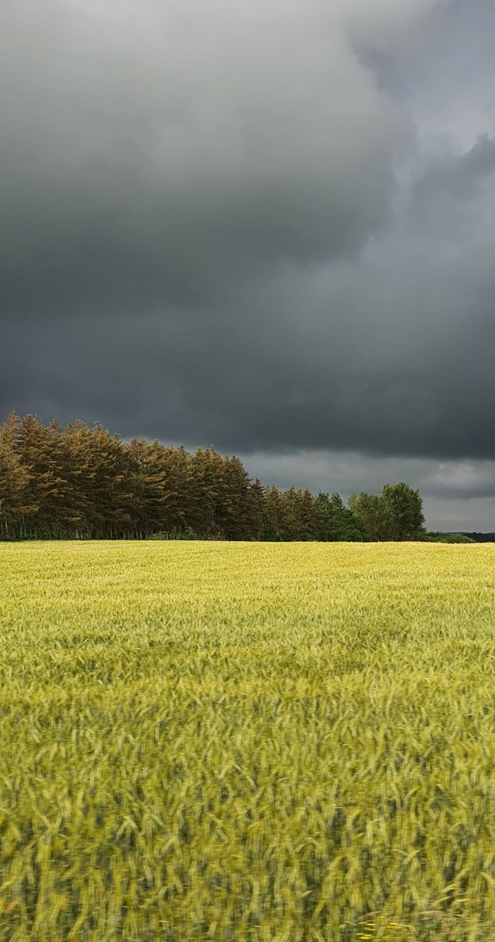 Cloudy weather
