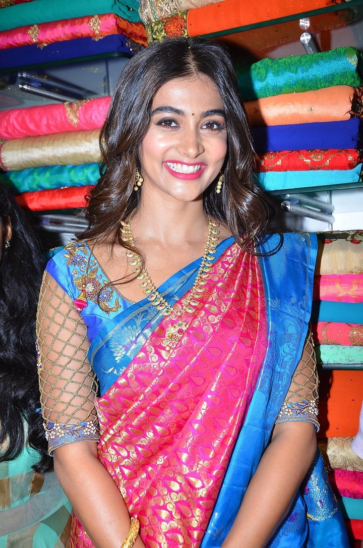 poojahedge