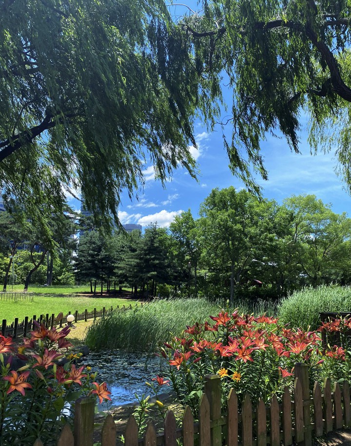 garden walk
