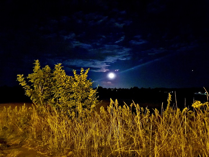 Good Night
