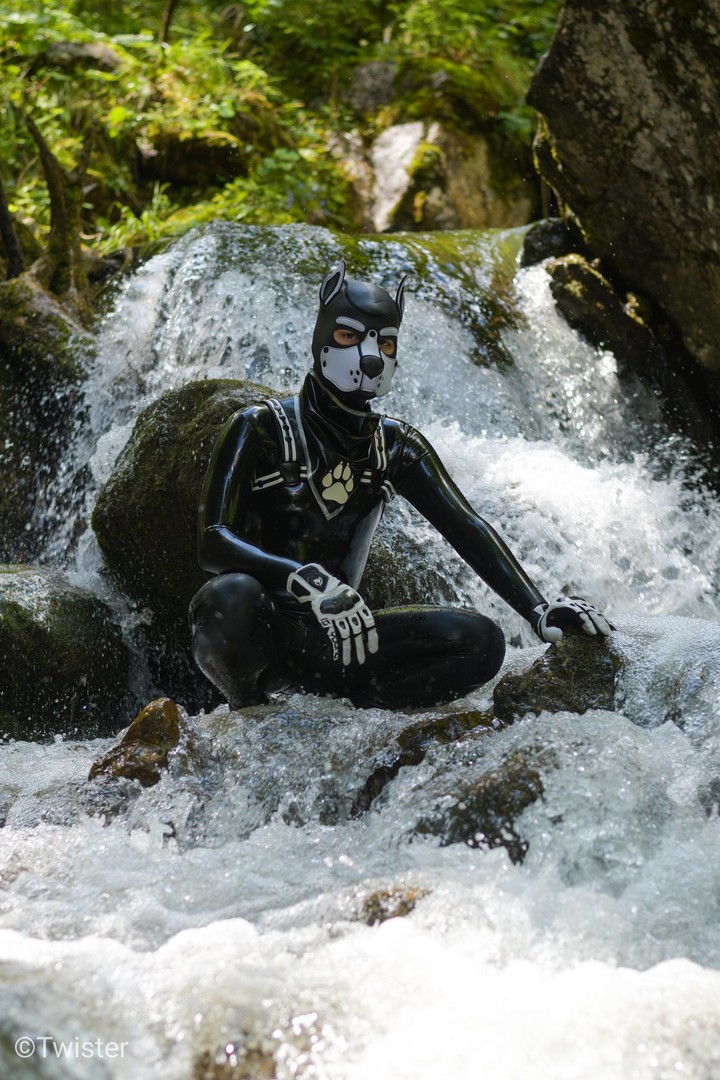 Rubber Puppy