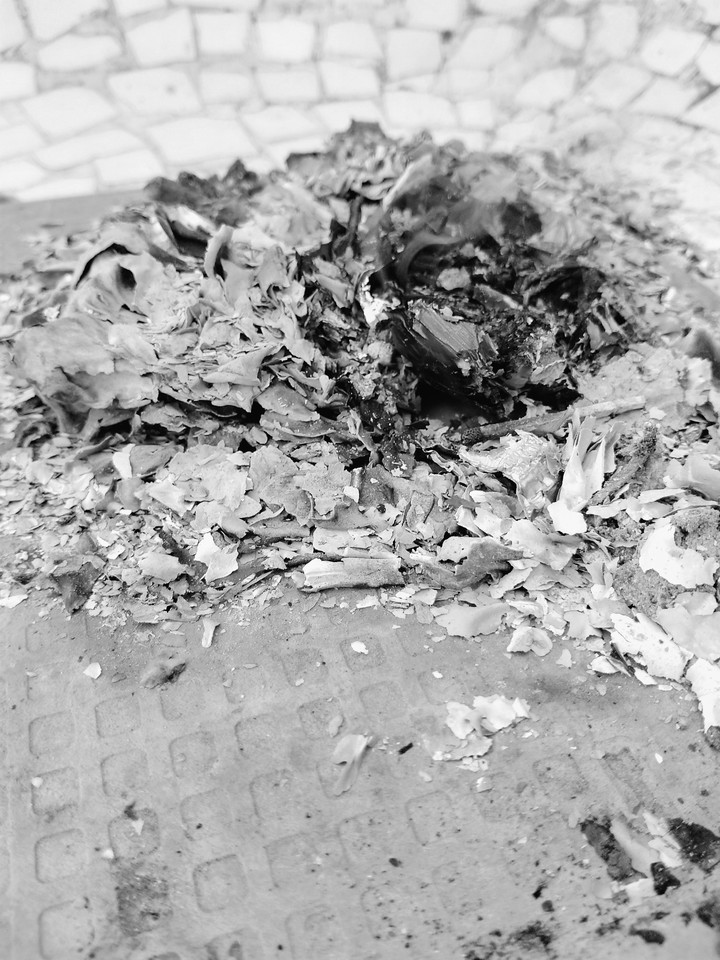 Ashes to dust