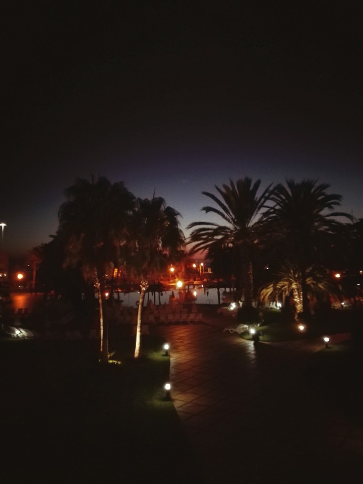 Night