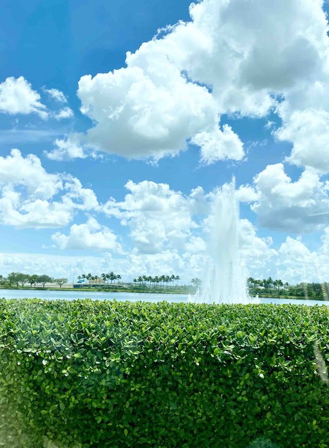 Garden Fountain