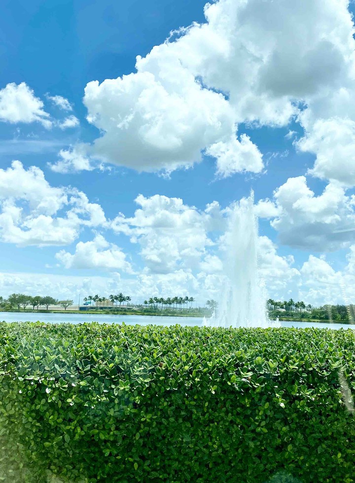 Garden Fountain