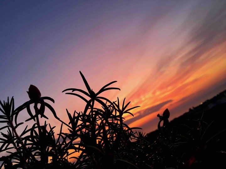 sunrise