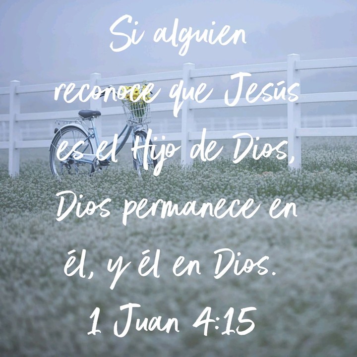 Versículos