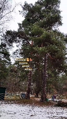 дети и родители