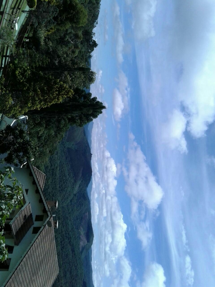 nature