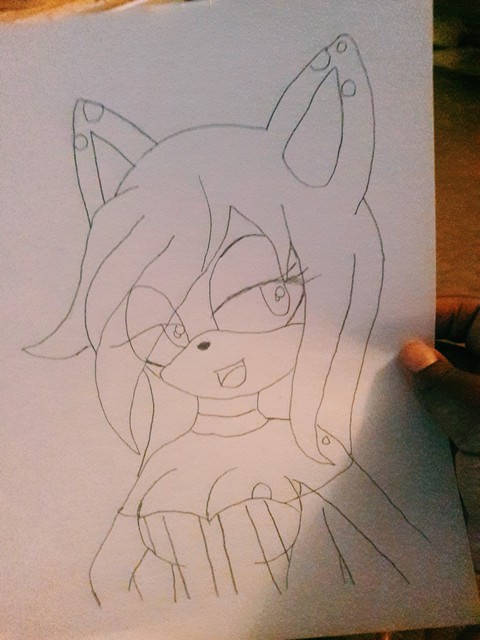 Oc sonic characters