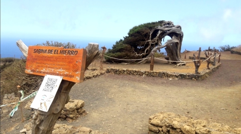 Sabina de el Hierro
