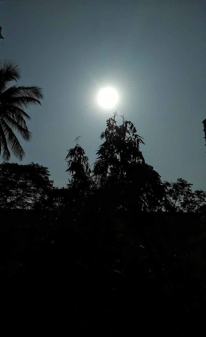 sun