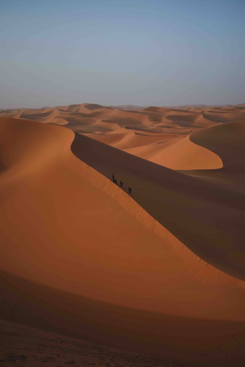 The Sahara desert
