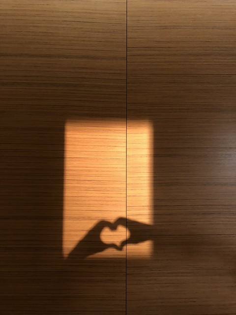 amor